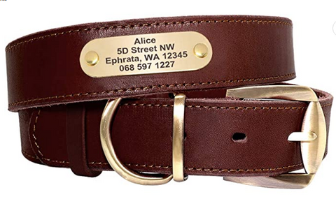 Laser Engraved Leather Dog Collar