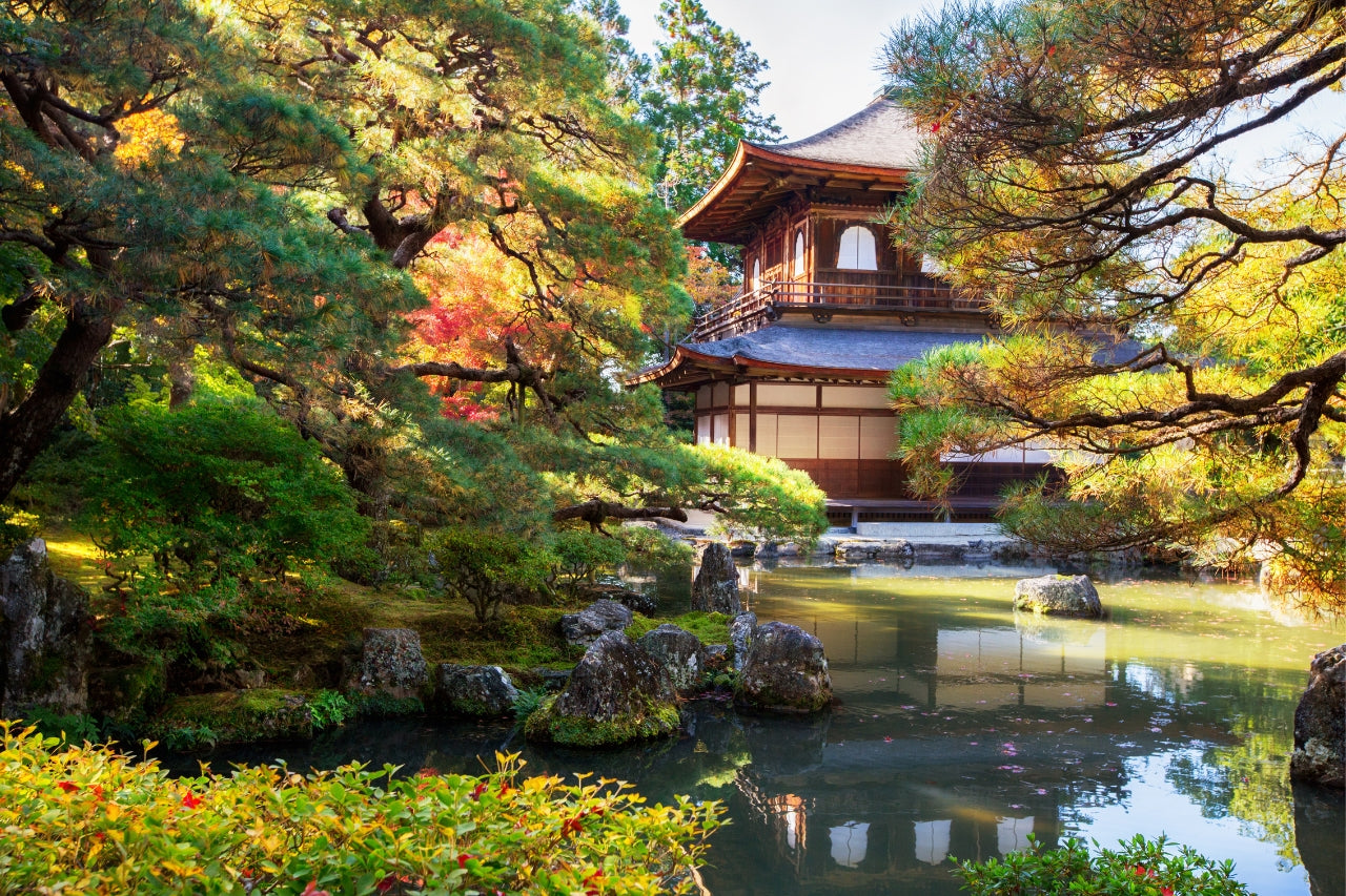 Piante giapponesi, 5 varietà per il tuo giardino zen – Simegarden