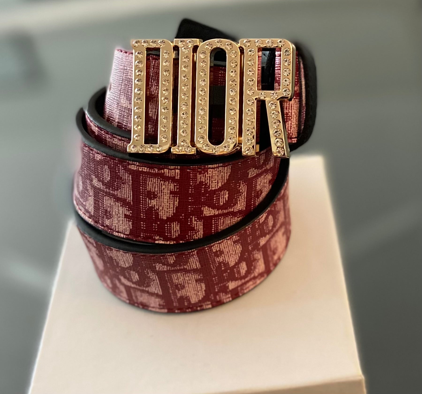 red dior belt