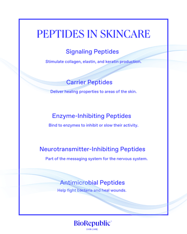 Types of peptides infographic