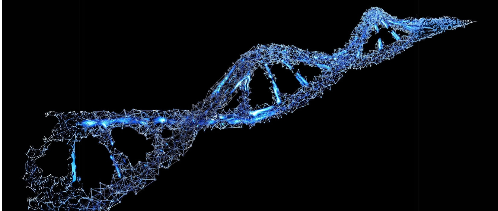 zinc ayuda a la sintesis de ADN