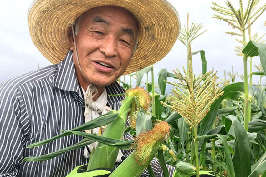 栄農人 長野県より産地直送のいちご きのこ