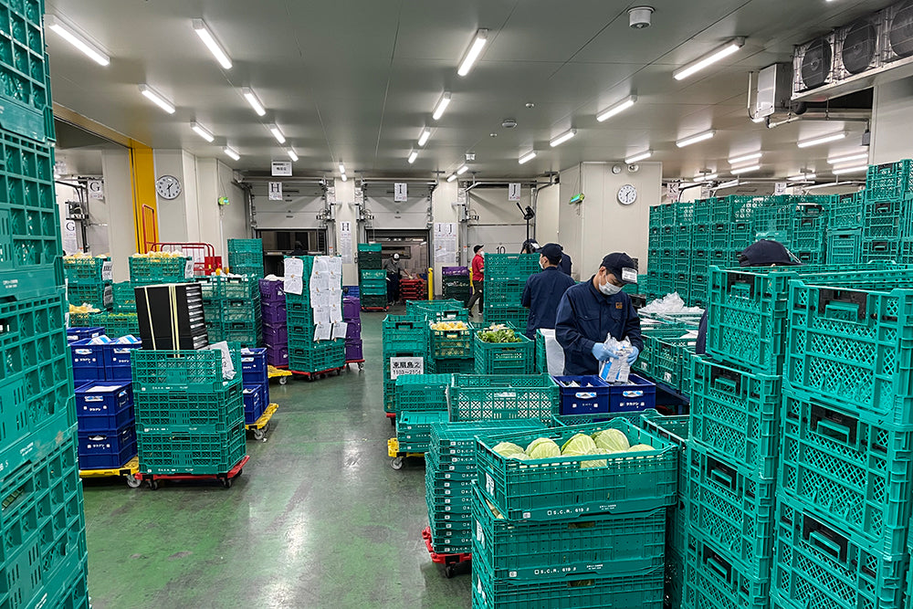 まつのめぐみ会 全国より産地直送の野菜 果物