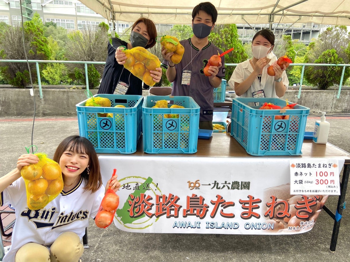 一九六農園 兵庫県淡路島より産地直送の玉ねぎ