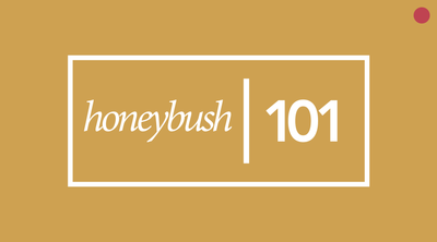 Honeybush Tea 101 | History and Processing