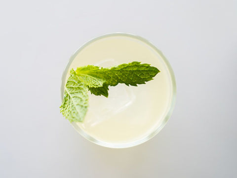 Green Tea Mojito Tea Mixer