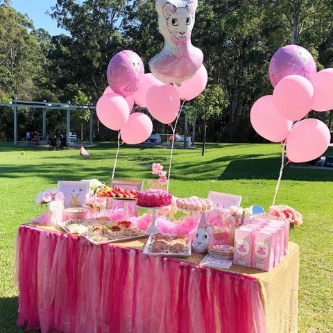 Claris The Mouse Catering Kids Birthday Party Sydney