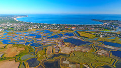 France-Bretagne-Marais-salants-de-Guerande-La-Baule