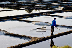 Exploring the Time-Honored Tradition: Guérande Celtic Sea Salt Harvesting