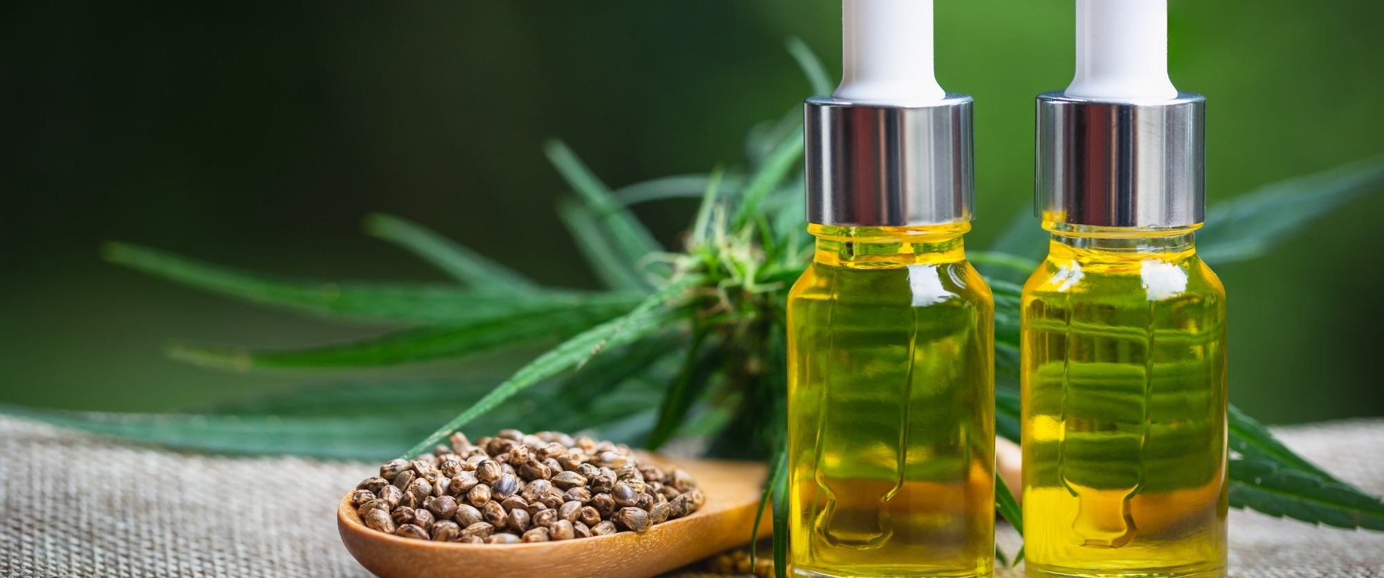 olio-canapa-cbd-cosmetico-cosmetica-solida-vegana-biodizionario-officina-saponi-cosmetici