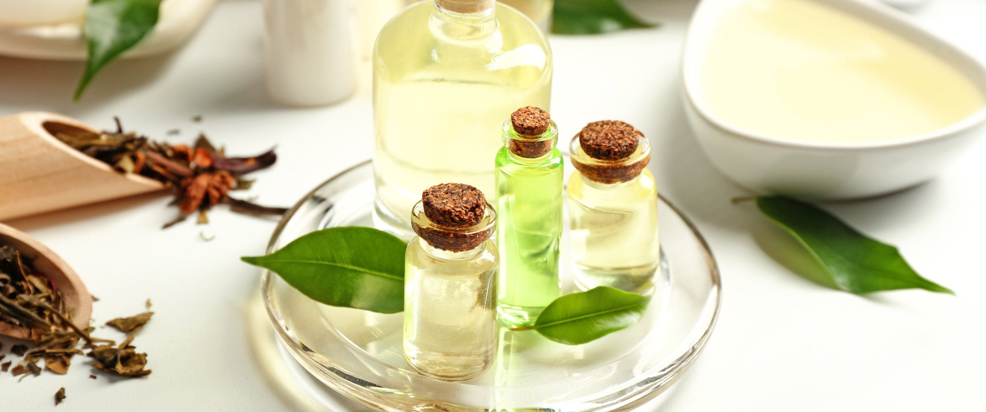 tea-tree-oil-olio-cosmetico-cosmetica-solida-vegana-biodizionario-officina-saponi-cosmetici
