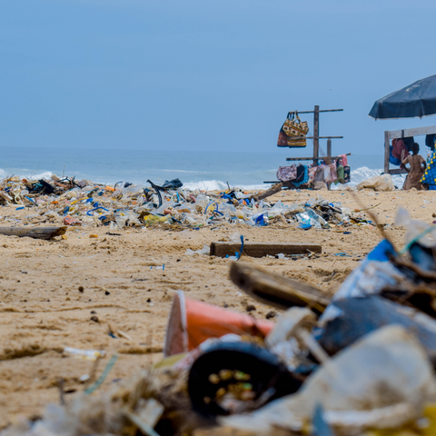 זיהום פלסטיק בחופים