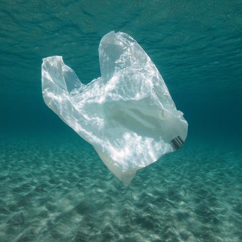 שקית פלסטיק בים