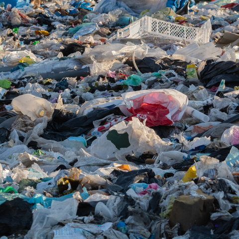 ההשפעה של פלסטיק חד-פעמי על האוקיינוסים שלנו
