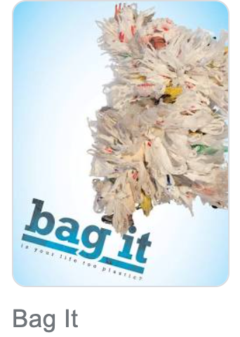 https://en.wikipedia.org/wiki/Bag_It_(film)