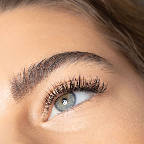 A close up photo of a set of classic lash extensions.