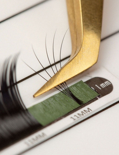 A photo of a 5D eyelash extensions fan on a green strip. The fan is being held by a pair of gold volume tweezers | London Lash Canada