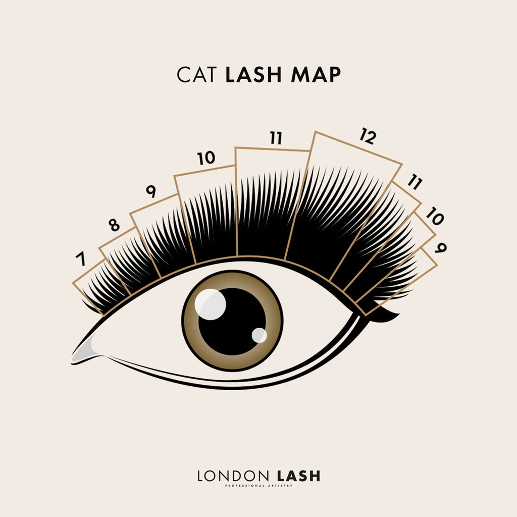 an infographic illustration showing a Cat Eye lash map for eyelash extensions on an open eye