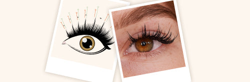 Manga Lashes Tutorial: How to Create Your Clients’ New Fave Style!