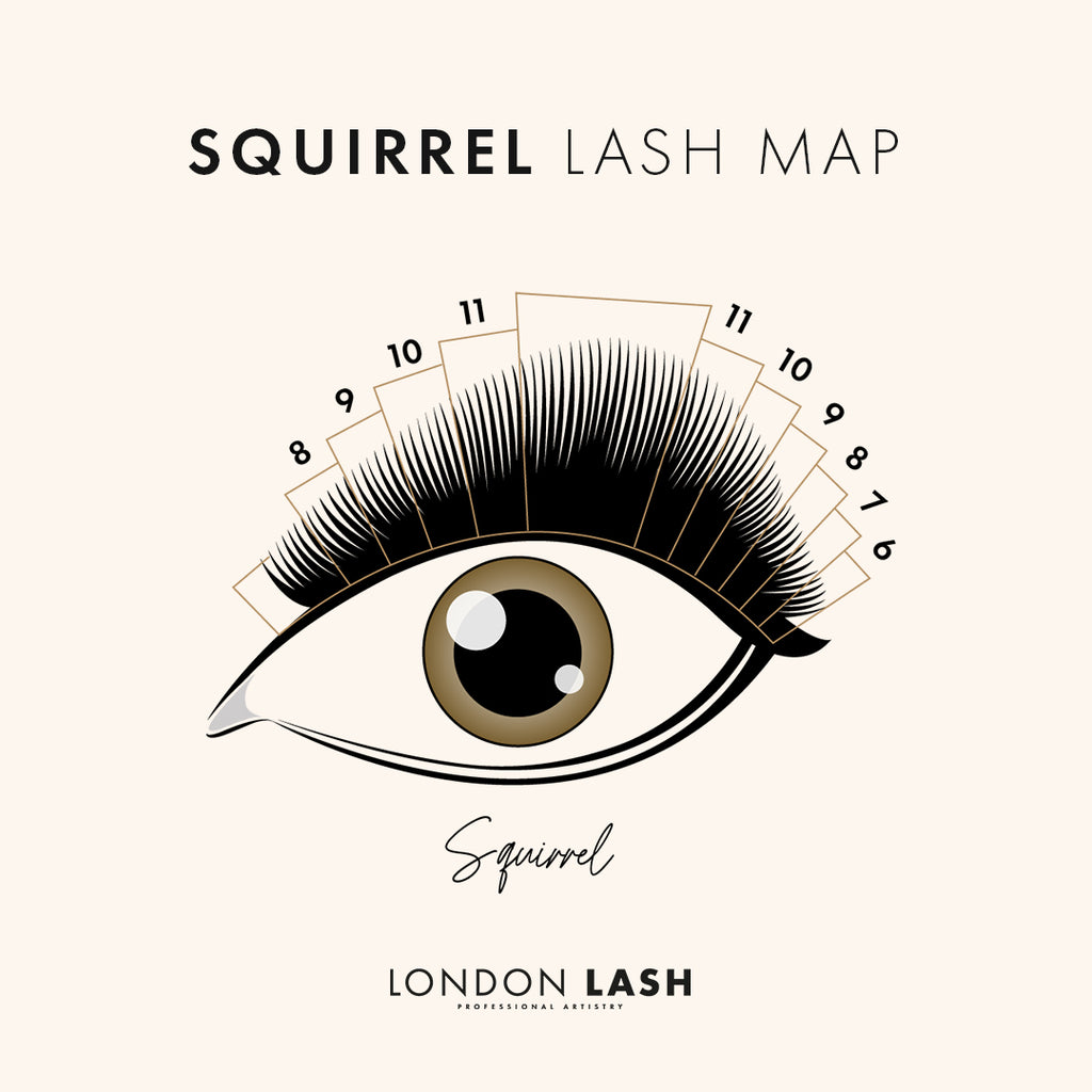 an infographic illustration showing a Squirrel Style lash map for eyelash extensions on an open eye