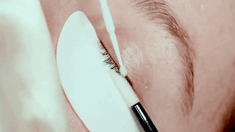 a gif of eyelash extensions cleanser being applied to the natural lashes during eyelash extensions pre treatment