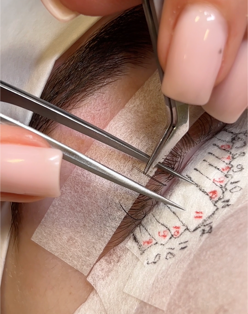 a picture of an eyelash extension being applied to a natural lash | London Lash Canada
