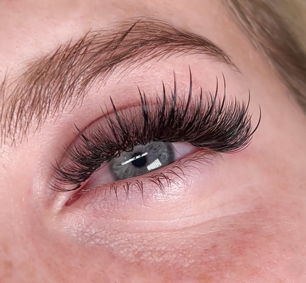 a set of Kim K lashes using premade volume fans and premade spikes
