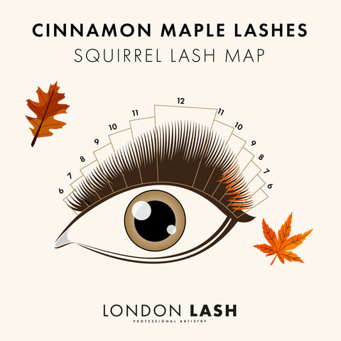 a lash map using brown lashes with some orange lash extensions added