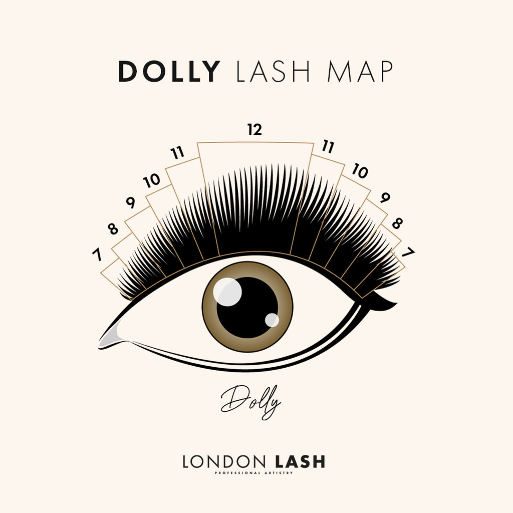 A digital drawing of a doll eye lash map