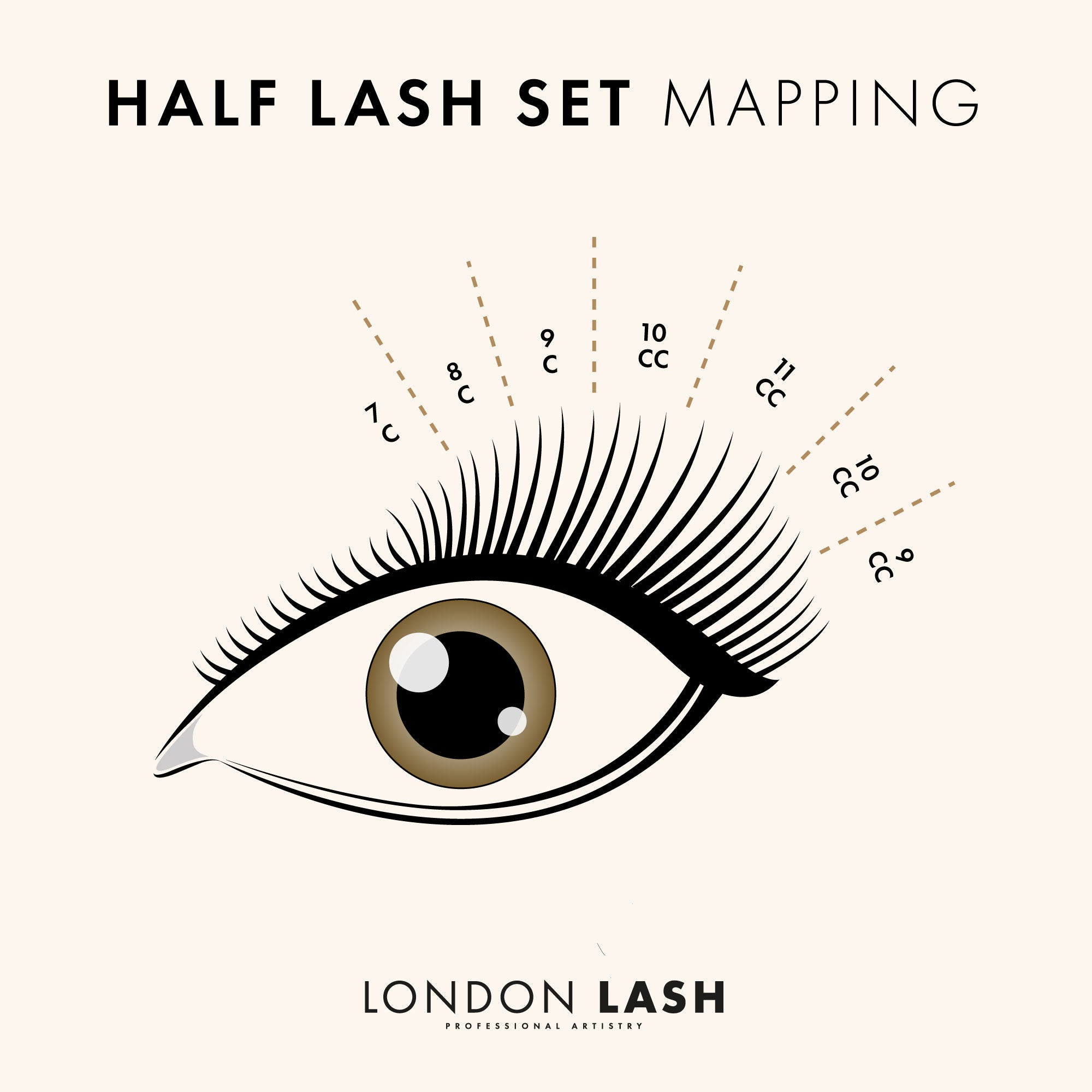 a digital drawing depicting the application of a half set lashes