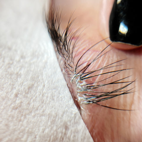a close up of natural lashes with white residue around the roots. Lash extensions glue has not been properly cleaned after a lash removal, leading to shock polymerization