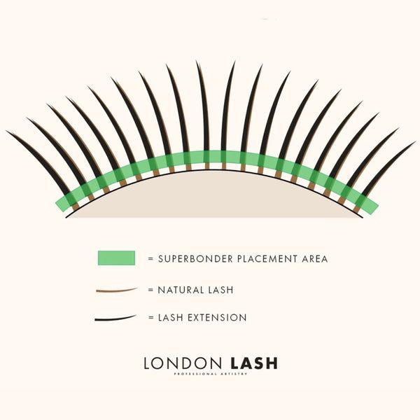 A digital drawing showing the zone that superbonder should be applied to. A green line covers the lashes where the glue bonds would be to signify this.