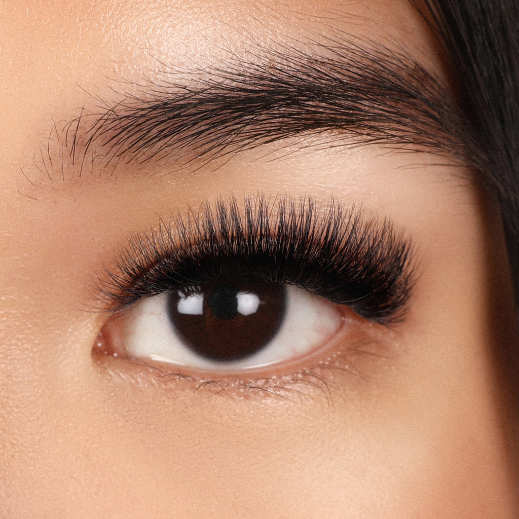 a close up photo of a set of volume lash extensions using premade lash fans