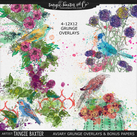 Aviary Grunge Overlays & Bonus Papers