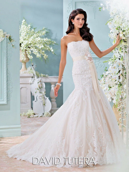 David tutera clearance bridal gowns