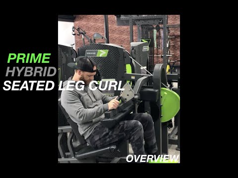 The Hybrid Arm Curl provides an easy set up with multiple seat