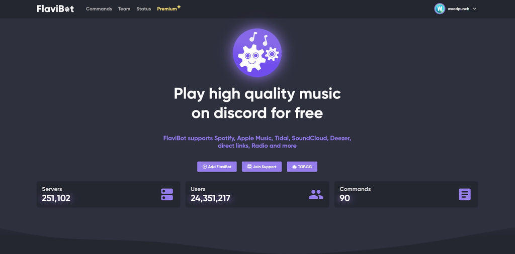 FlaviBot music bot website