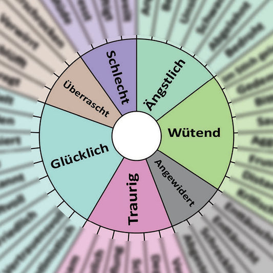 Emotions Spinner Wheel (French) – Mornings Together