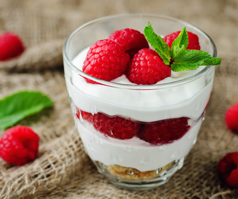 Healthy Breakfast Ideas: Greek Yogurt Parfait