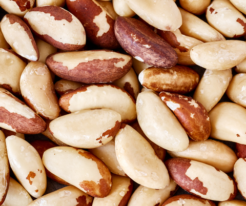 Incorporating Nuts into Your Weight Loss Journey - Brazil Nut