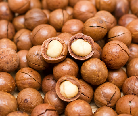 Incorporating Nuts into Your Weight Loss Journey - Macadamia Nuts