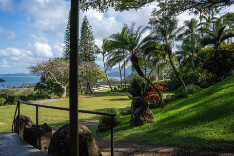 Image of Paliku Gardens showing palm trees and a meadow, out to the ocean.