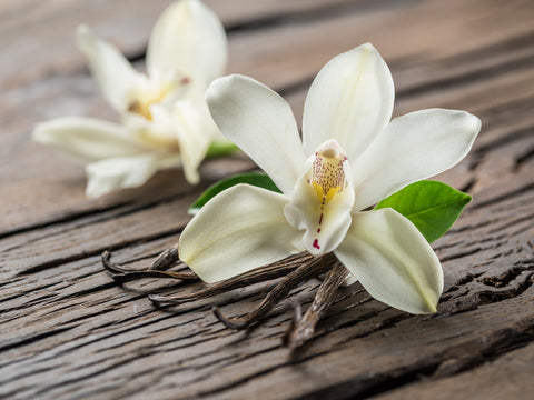 Vanilla flower and beans