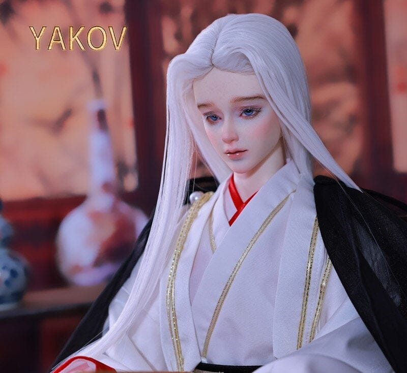 Collectible BJD doll Yakov 1/3