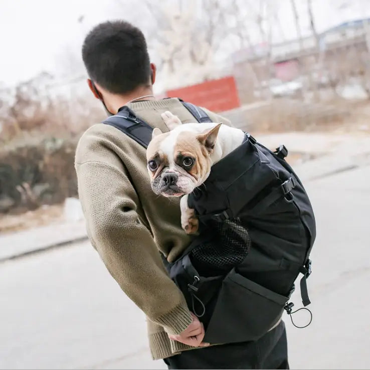 Travel Backpack