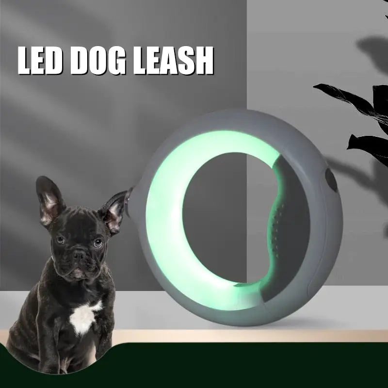 Designer Automatic LED Retractable Dog Leash