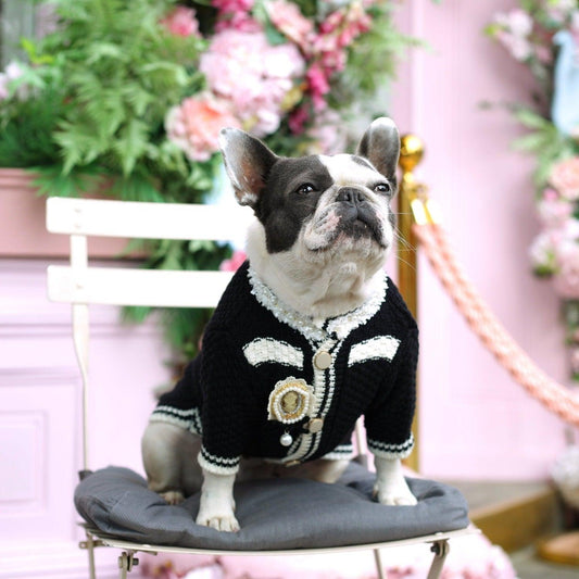 Pawcci Streetwear Designer Dog Hooded Jacket