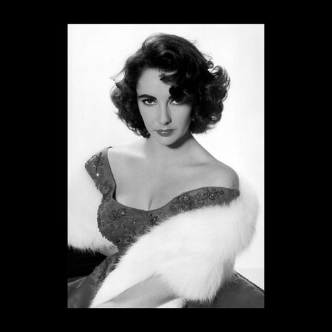 ELIZABETH TAYLOR VINTAGE PROFILE CANVAS PRINT