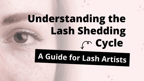 Lash shedding and replacement cycles