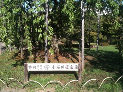 小石川後楽園 (1)